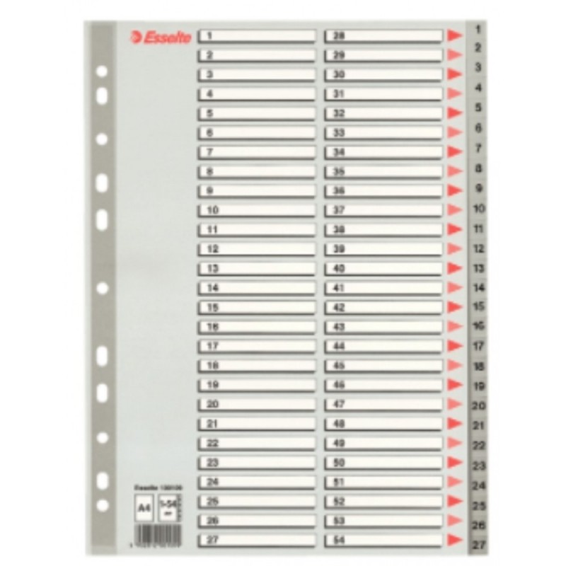 Register A4 1-54 Plast Esselte